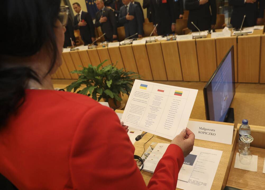 Prasidėjo Lietuvos, Lenkijos ir Ukrainos Parlamentinė Asamblėja