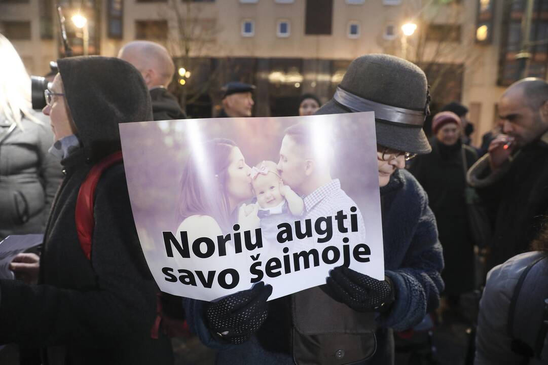 Mitingas prie Seimo dėl vaikų paėmimo iš šeimų