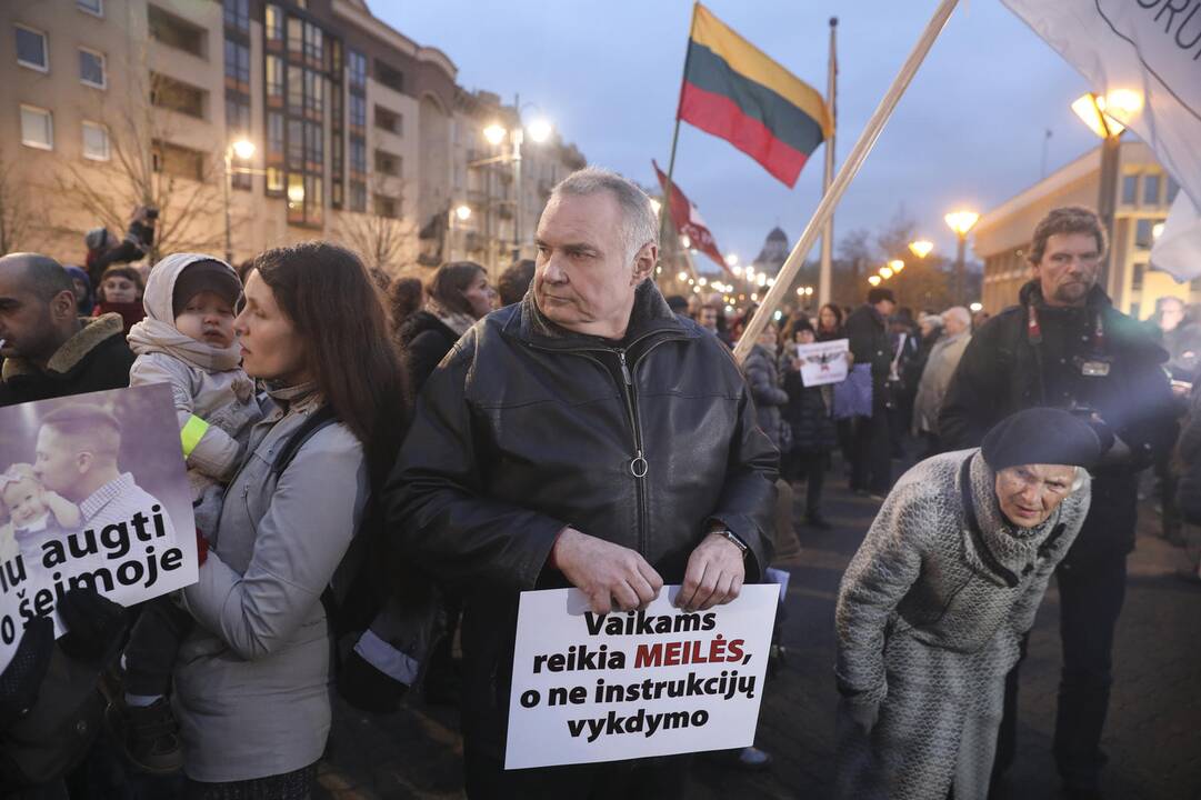 Mitingas prie Seimo dėl vaikų paėmimo iš šeimų