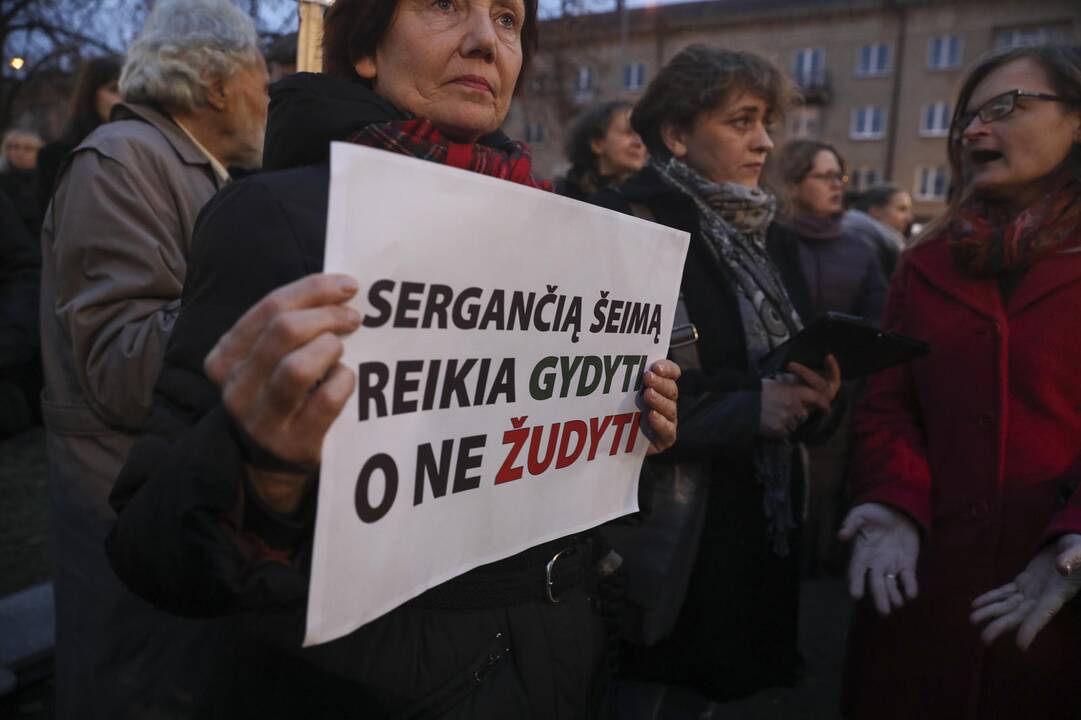 Mitingas prie Seimo dėl vaikų paėmimo iš šeimų