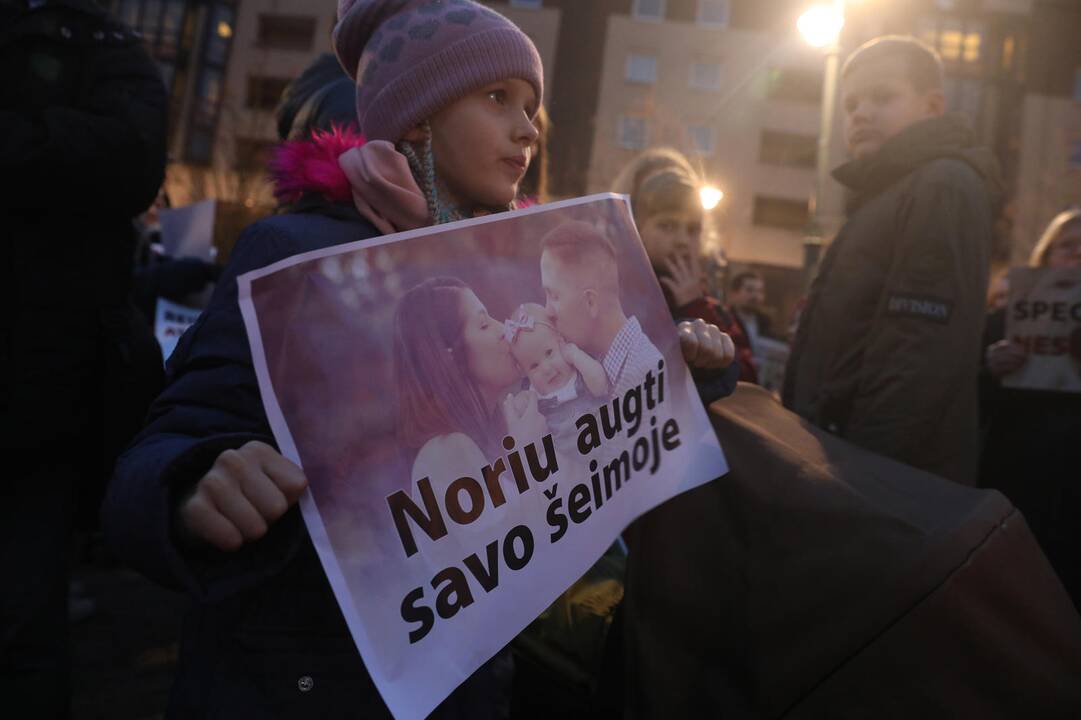 Mitingas prie Seimo dėl vaikų paėmimo iš šeimų