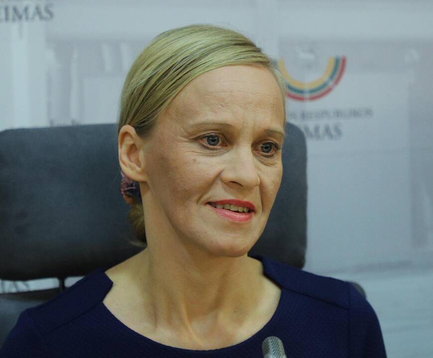 N. Puteikio spaudos konferencija