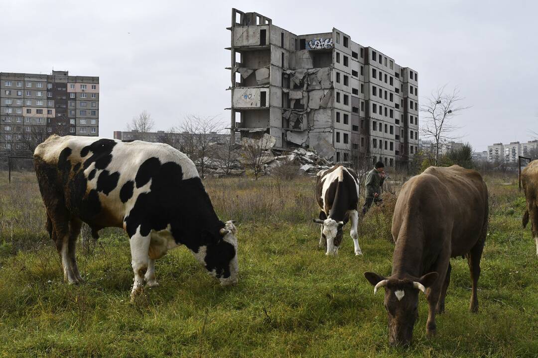 262-oji karo Ukrainoje diena