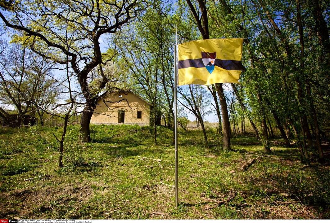 Vitas Jedlicka