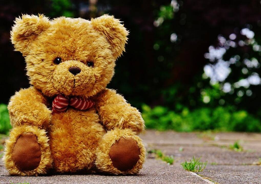 Tyrimas: dainuojantys pliušiniai meškučiai nuodija aplinką