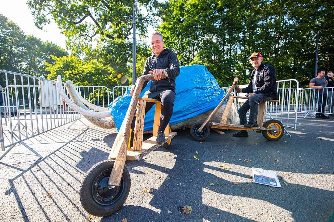 Pasiruošimas „Red Bull muilinių lenktynėms“