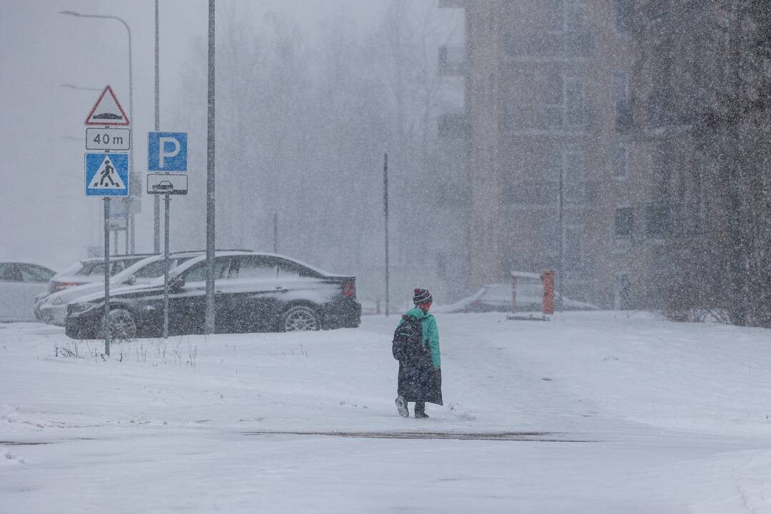 Sinoptikai: artimiausiomis dienomis sulauksime sniego, šalčio ir šilumos