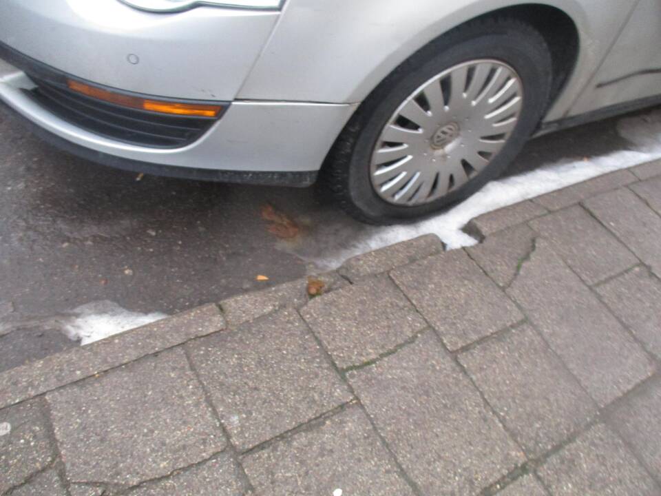 Ši moteris savo augintinio išmatas surinko
