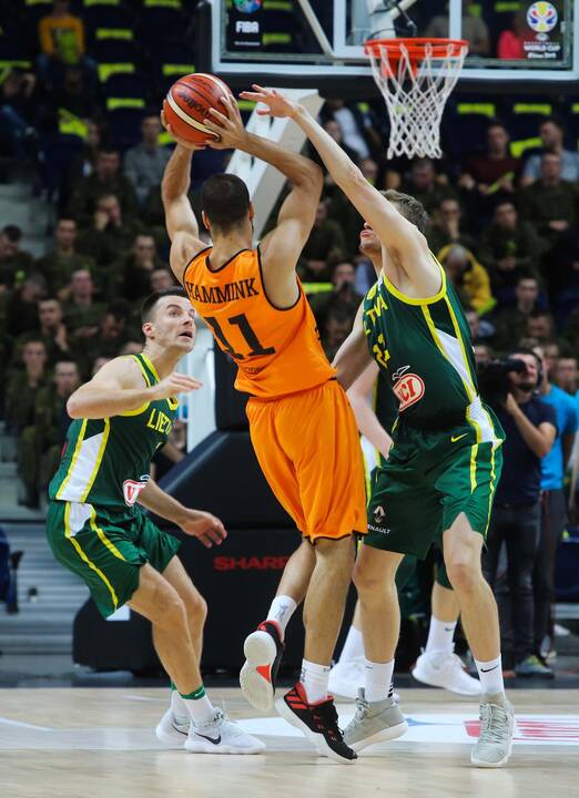 Krepšinis: Lietuva - Olandija 95:93