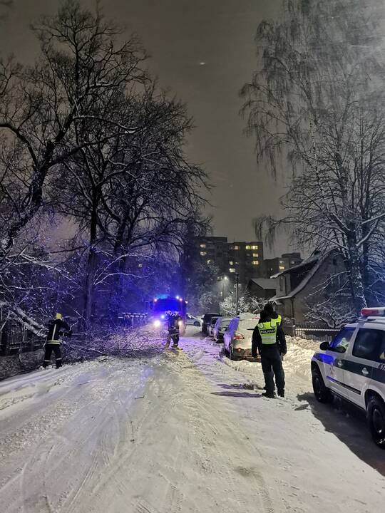 Kauniečiai iškvietė ugniagesius dėl nuvirtusių medžių