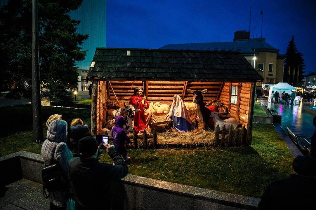 Marijampolėje sušvito Kalėdų eglė