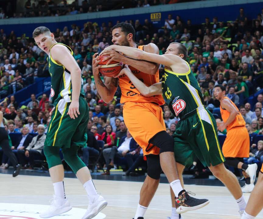 Krepšinis: Lietuva - Olandija 95:93