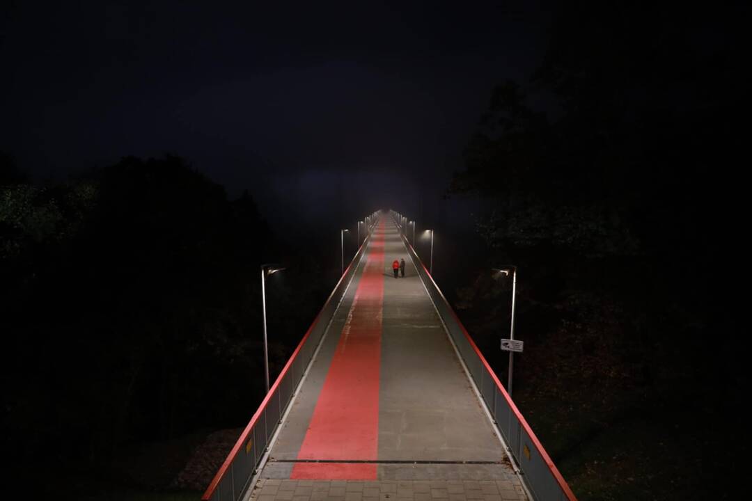 Nuo Trijų mergelių tilto nukrito mergina