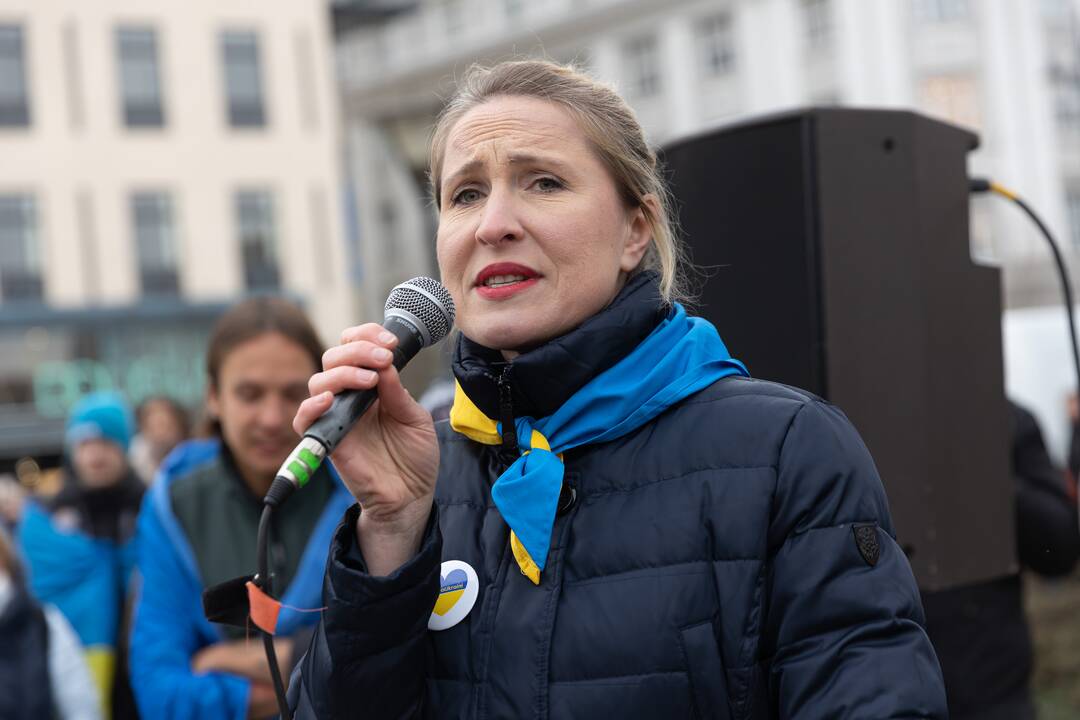 Prie Vyriausybės – mitingas palaikyti Ukrainą