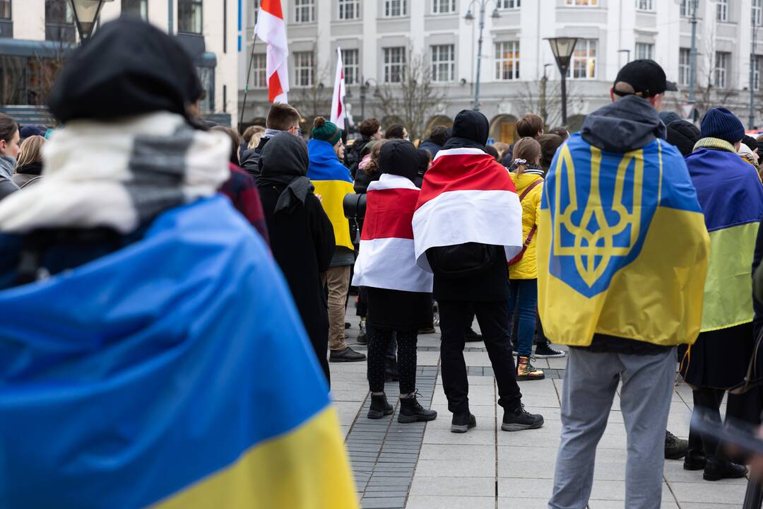 Prie Vyriausybės – mitingas palaikyti Ukrainą
