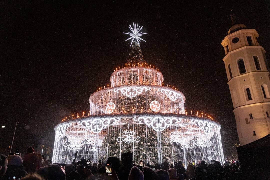 Sostinės Katedros aikštėje įžiebta Kalėdų eglė