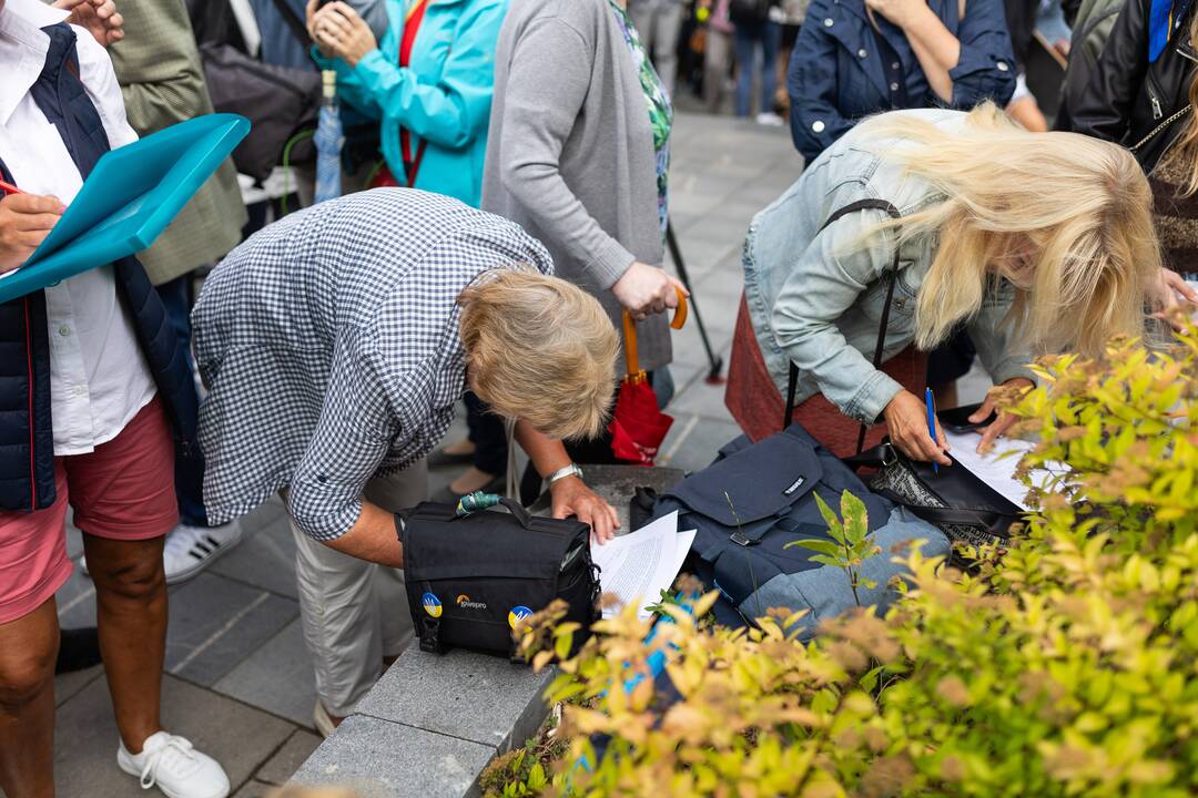 Protestas del medžių J. Basanavičiaus gatvėje