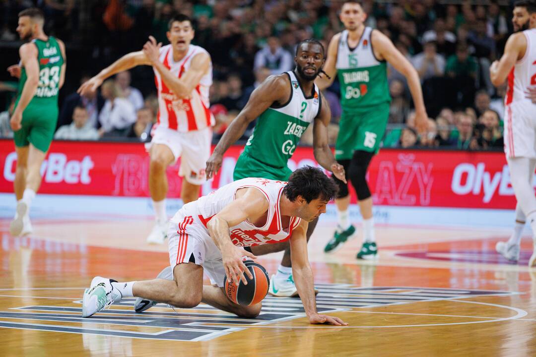 Eurolyga: Kauno „Žalgiris“  –  Belgrado „Crvena Zvezda“ 79:74