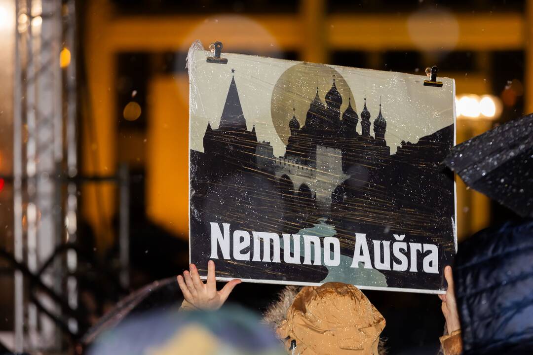 Protestas prie Seimo: „Dešimt tylos minučių“