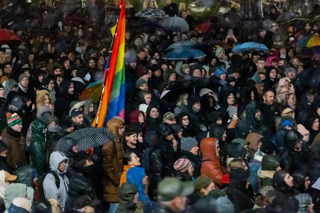 Protestas prie Seimo: „Dešimt tylos minučių“