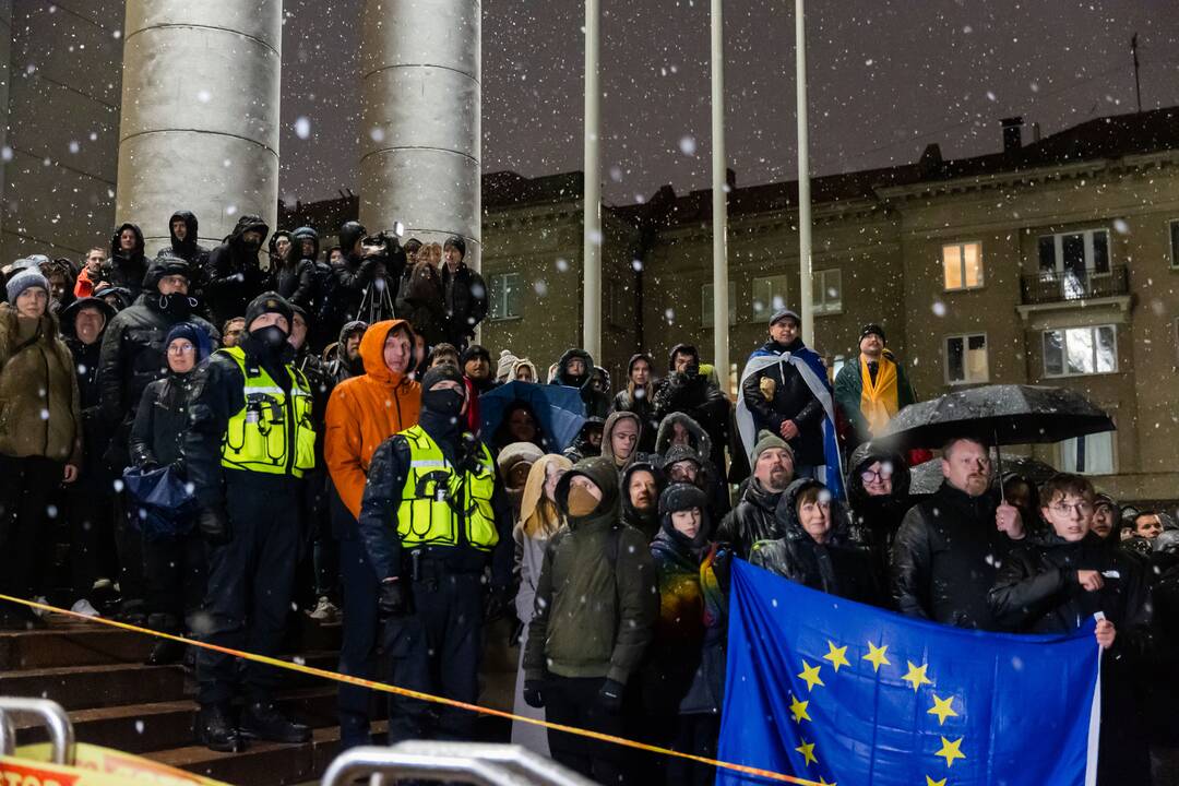 Protestas prie Seimo: „Dešimt tylos minučių“