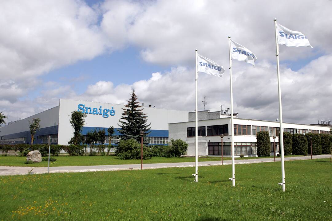 Viena „Snaigės“ kreditorių iš „Sekenora Holdings“ siekia įsigyti bendrovės akcijas
