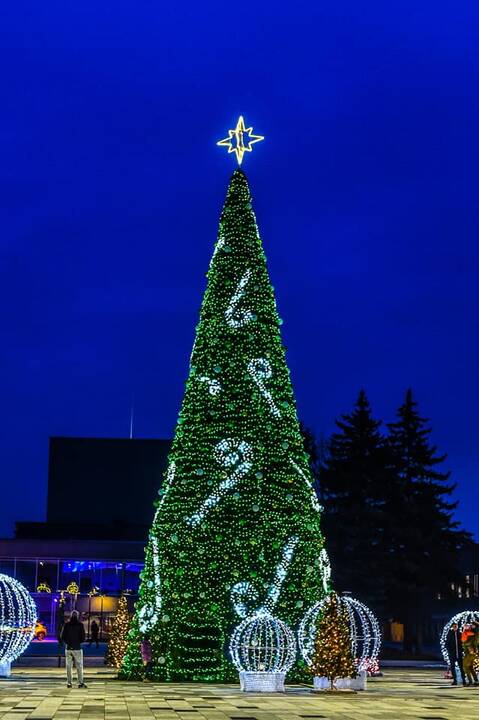 Panevėžyje įžiebta Kalėdų eglė