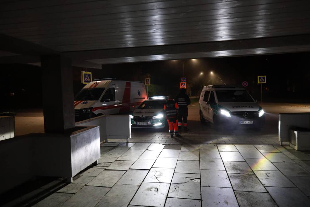 Nuo Trijų mergelių tilto nukrito mergina
