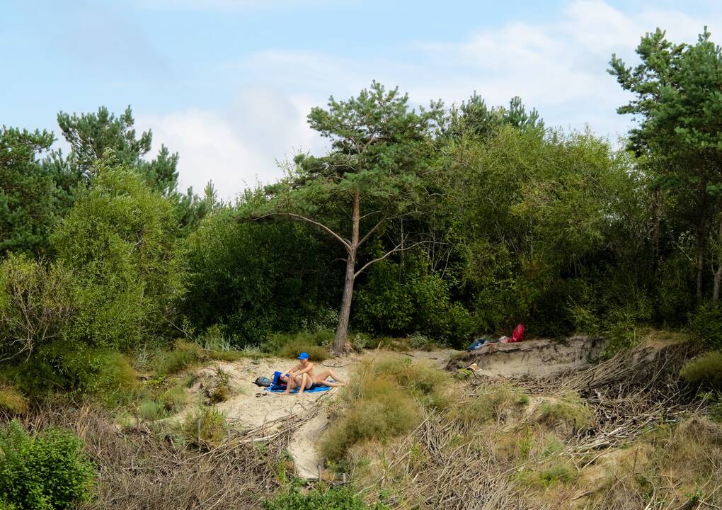 Pajūrio kopose grobio tyko vagis