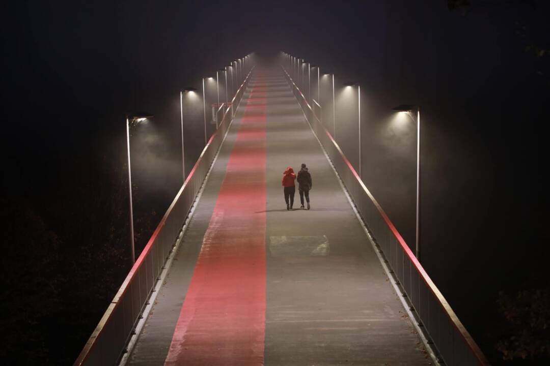Nuo Trijų mergelių tilto nukrito mergina