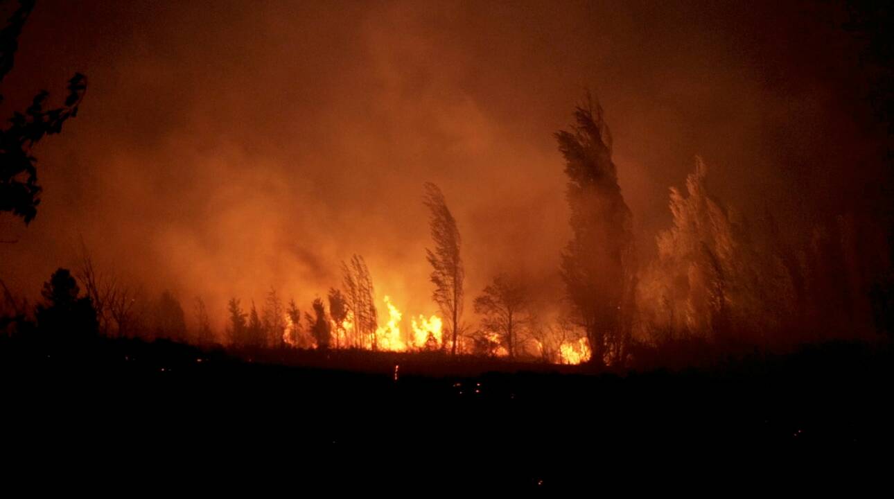 Argentinoje per miškų gaisrus žuvo vienas, dingo keli žmonės