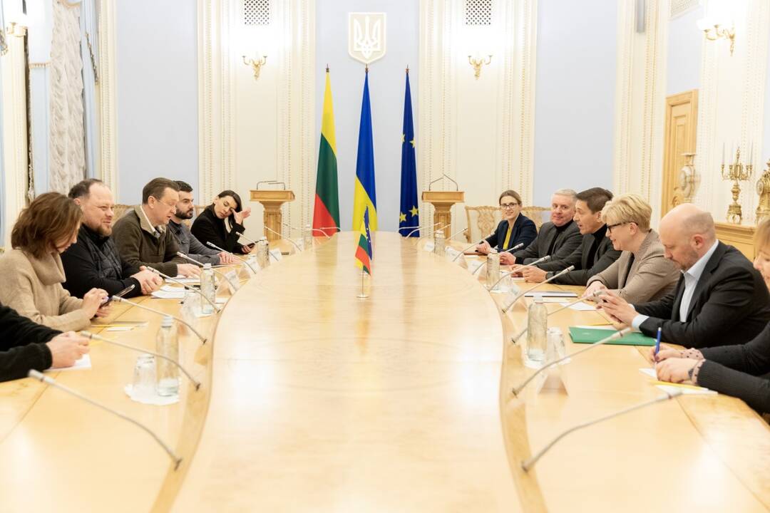 Ingrida Šimonytė ir Denysas Šmyhalis 