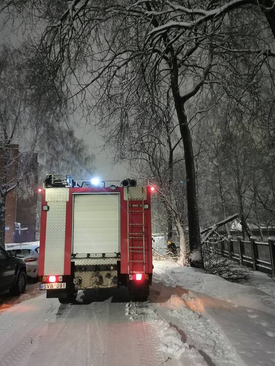Kauniečiai iškvietė ugniagesius dėl nuvirtusių medžių