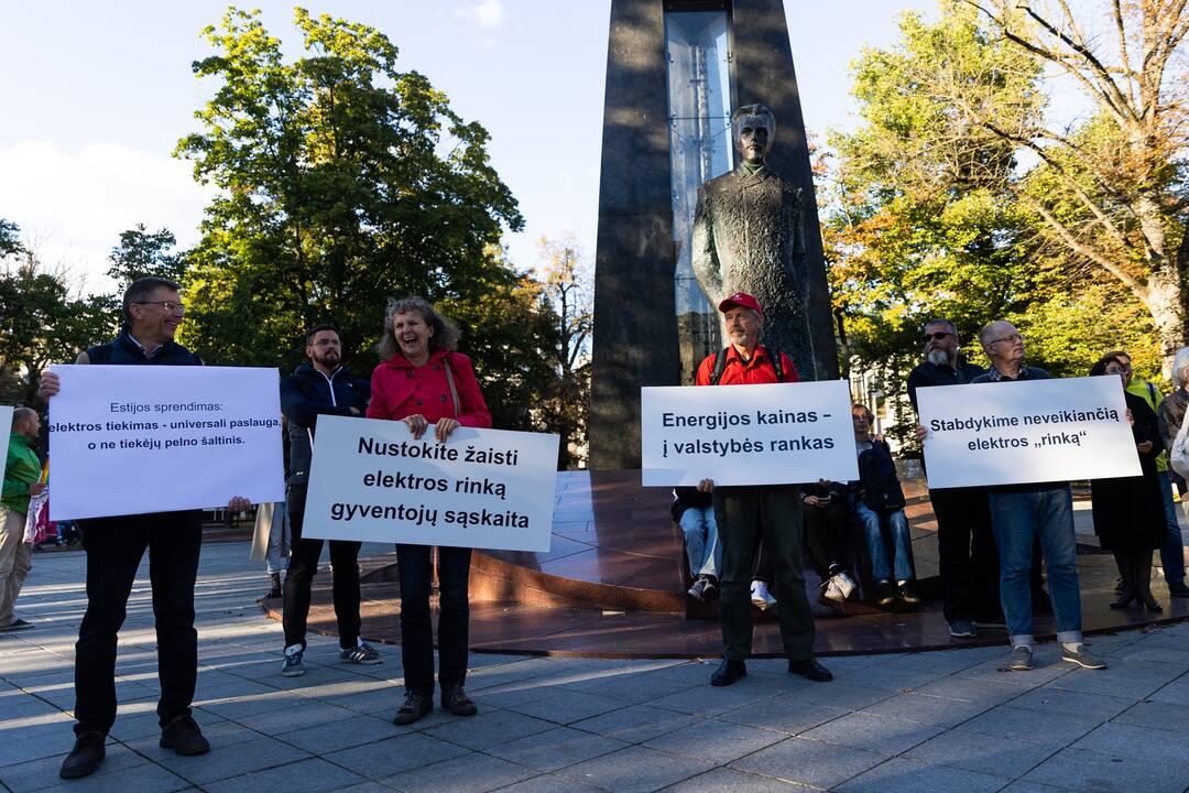 Nacionalinio susivienijimo surengta protesto akcija