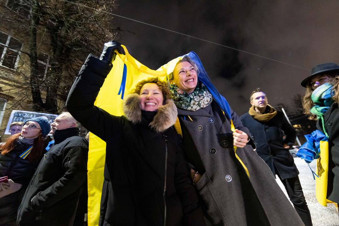  Ukrainos palaikymo mitingas prie Vokietijos ambasados