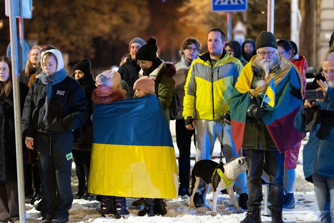  Ukrainos palaikymo mitingas prie Vokietijos ambasados