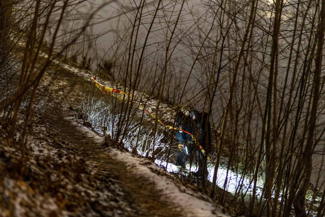 15-mečio vilniečio dingimas: pirmadienio pavakarę paupyje aptikta svarbių radinių