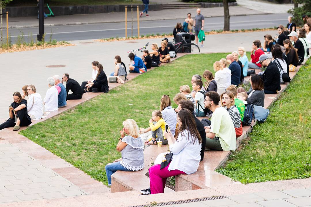 P. Pettersson performansas „Katės praktika“