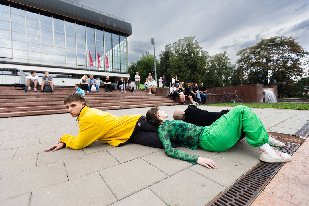 P. Pettersson performansas „Katės praktika“
