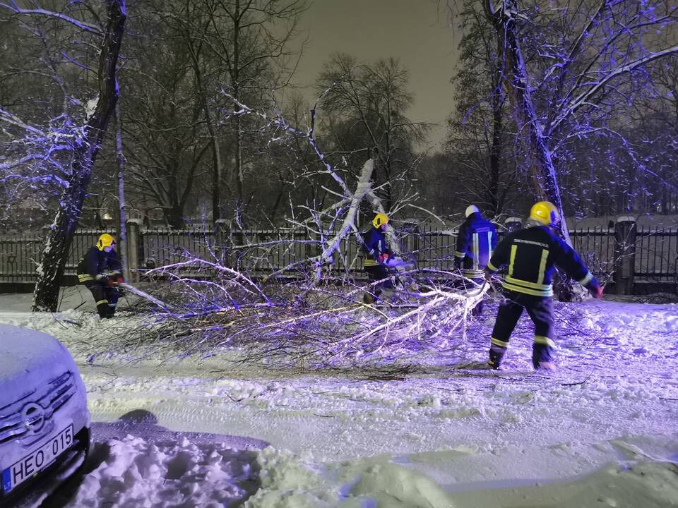 Kauniečiai iškvietė ugniagesius dėl nuvirtusių medžių