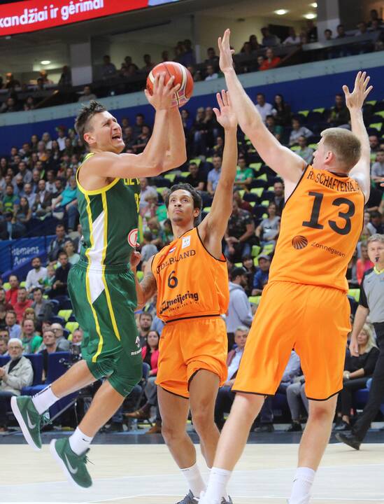 Krepšinis: Lietuva - Olandija 95:93