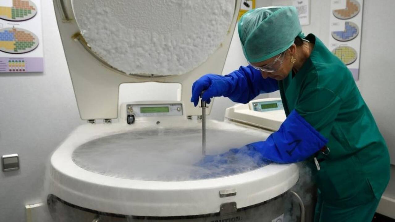 Embriologė: italai jau patyrė Lietuvoje svarstomų draudimų žalą