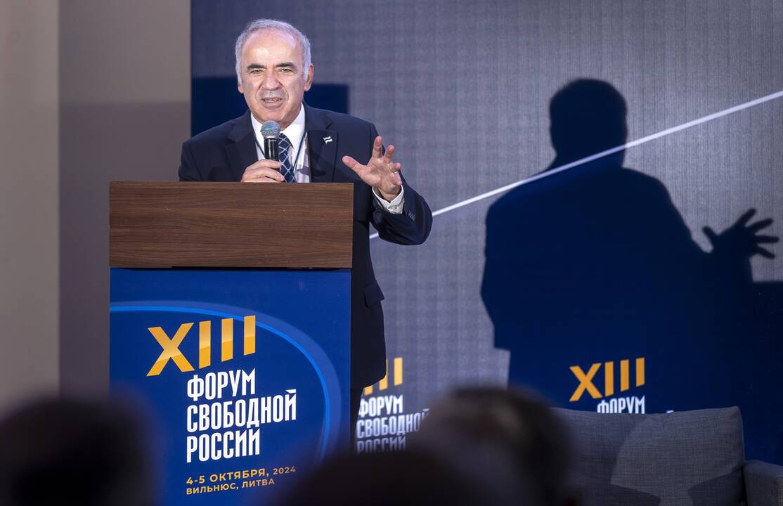Vilniuje susirinkusi rusų opozicija – skeptiška dėl saviškių vaidmens užpuolant L. Volkovą 