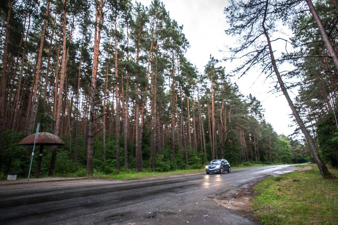 Po avarijos praėjus kelioms valandoms nelaimės vietoje viskas buvo sutvarkyta