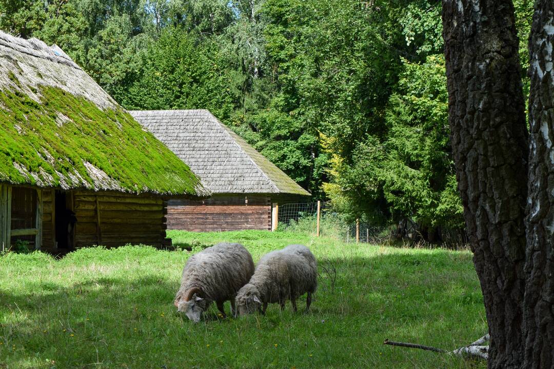 Aristavėlės dvare