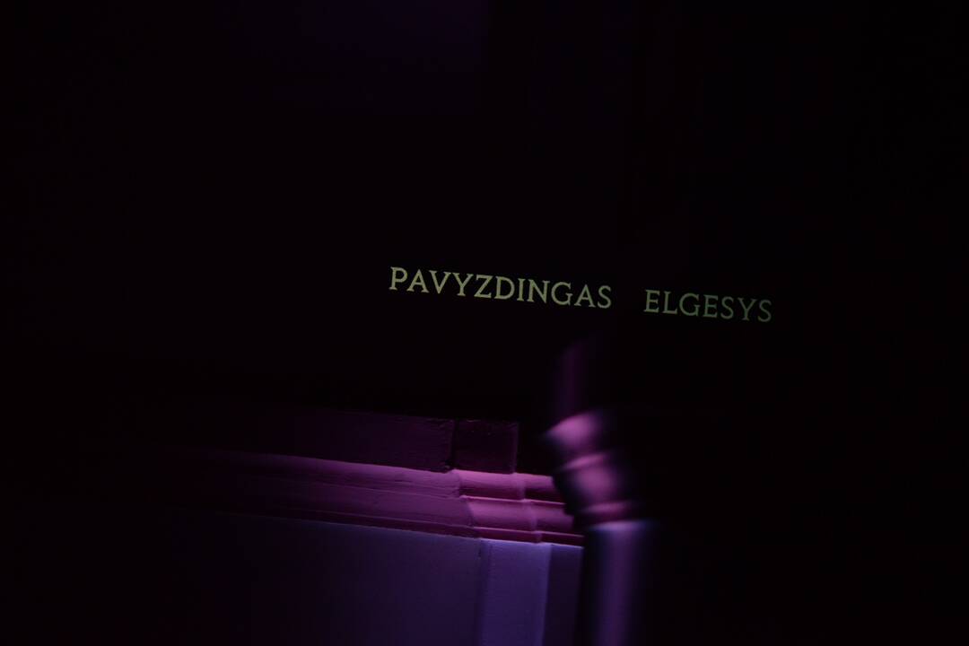 „Nepatogaus kino“ festivalis 
