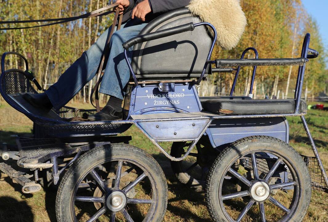 Žemaitukų varžybos