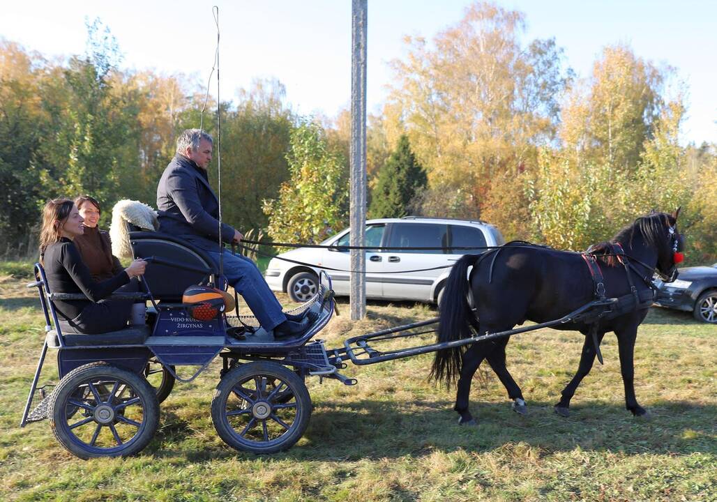 Žemaitukų varžybos