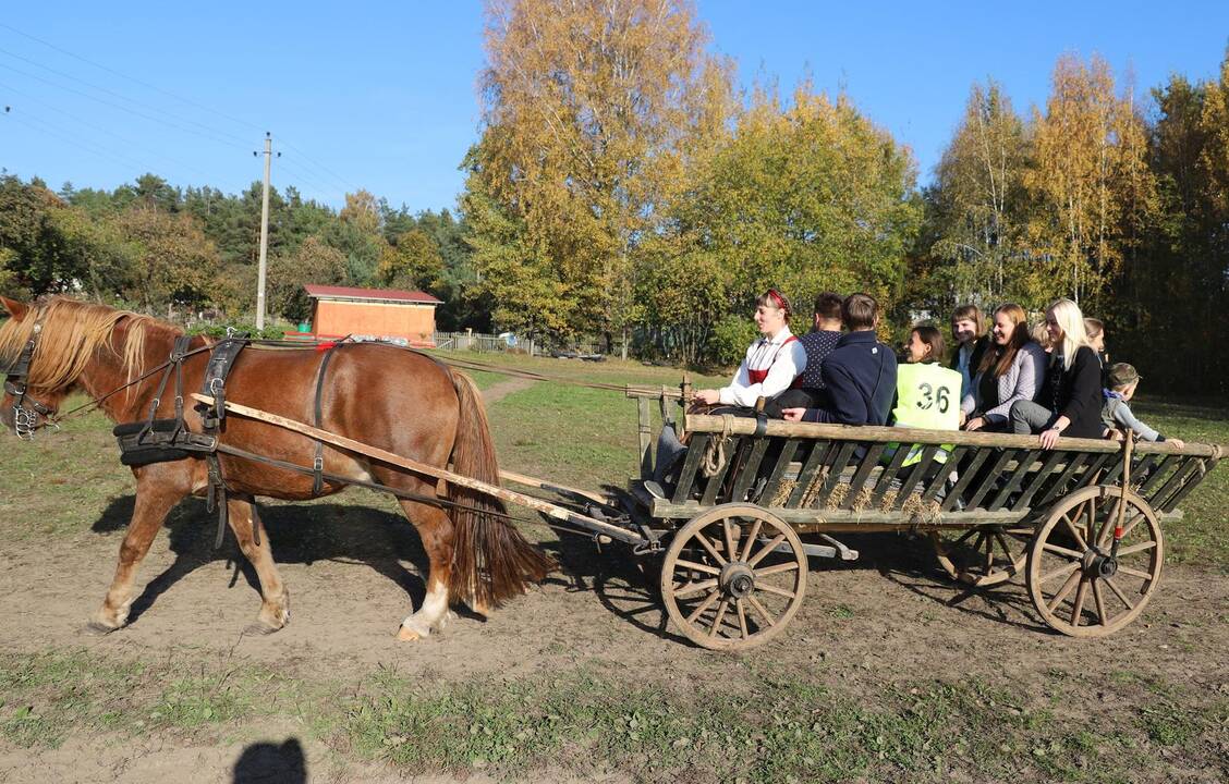Žemaitukų varžybos