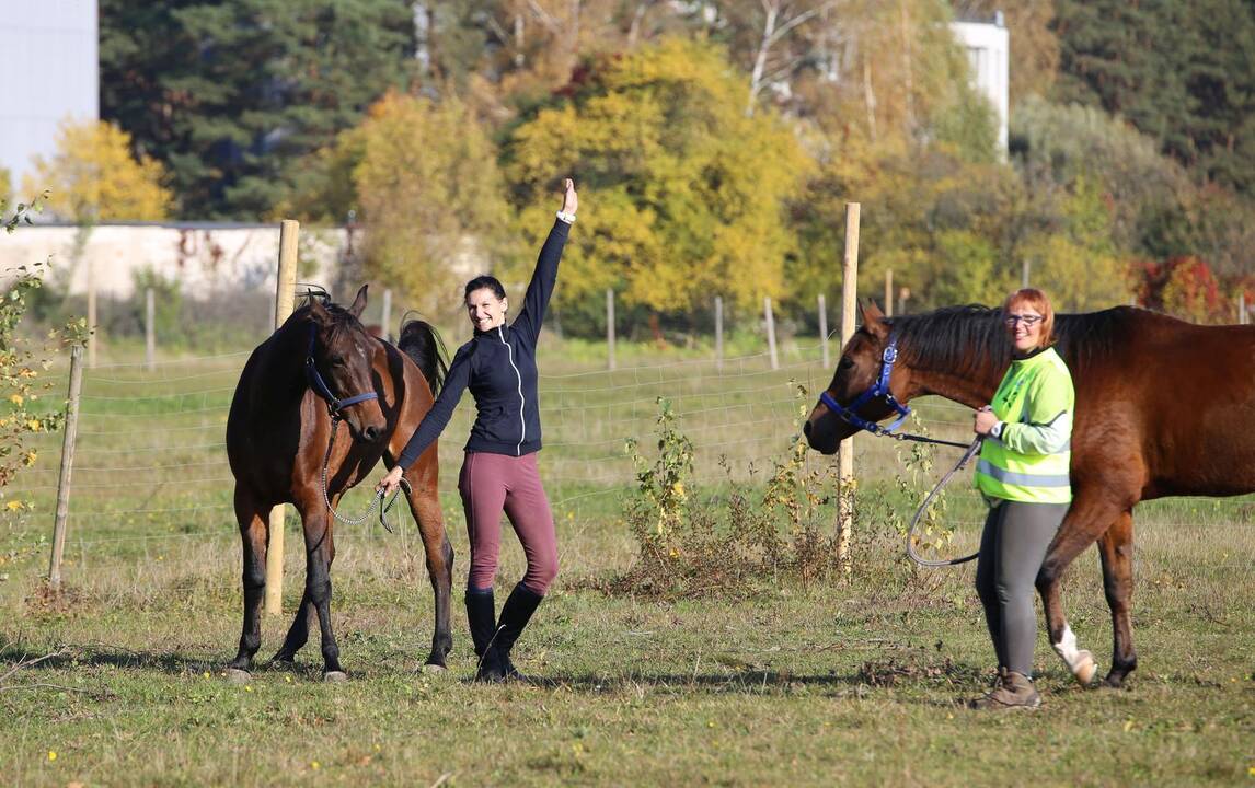 Žemaitukų varžybos